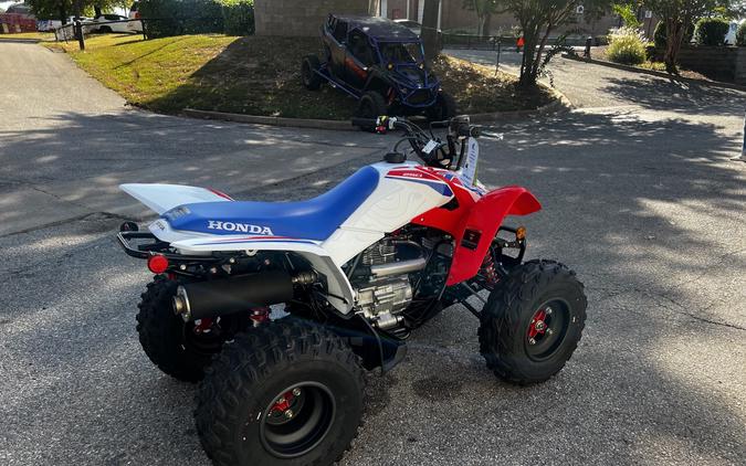 2026 Honda TRX 250X