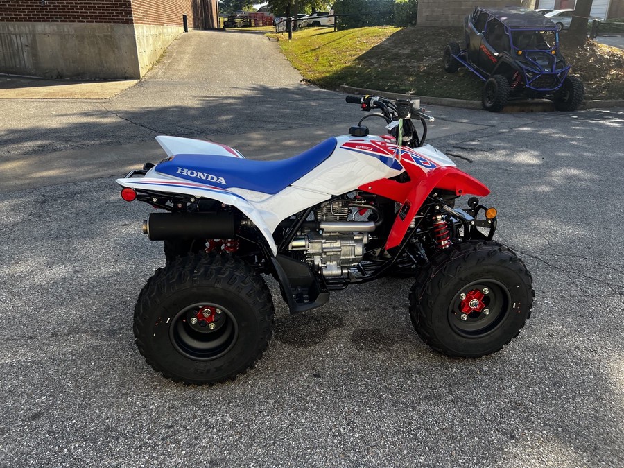 2026 Honda TRX 250X
