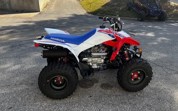 2026 Honda TRX 250X