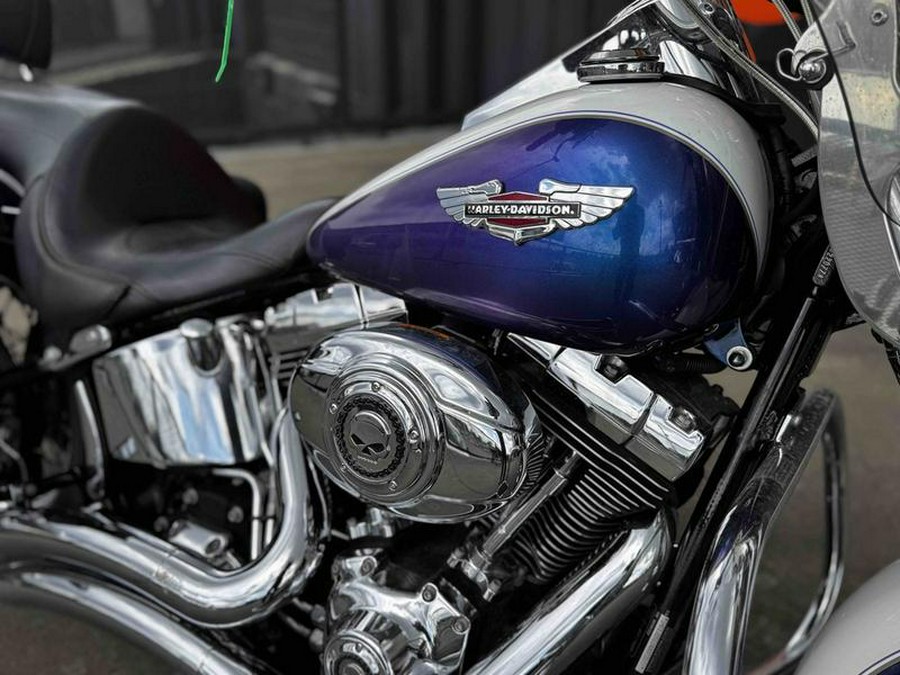 2010 Harley-Davidson® FLSTN - Softail® Deluxe