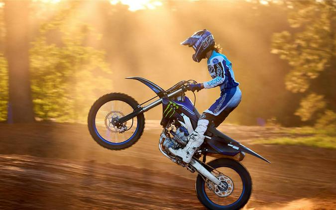 2023 Yamaha Motor Corp., USA YZ250F Monster Energy Yamaha Racing Edition