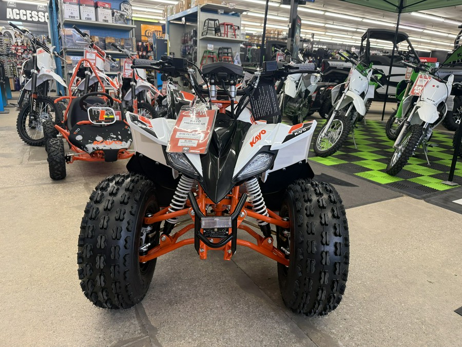 2025 Kayo Predator 125