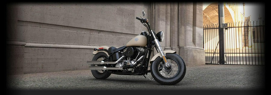 FLS 2015 Softail Slim