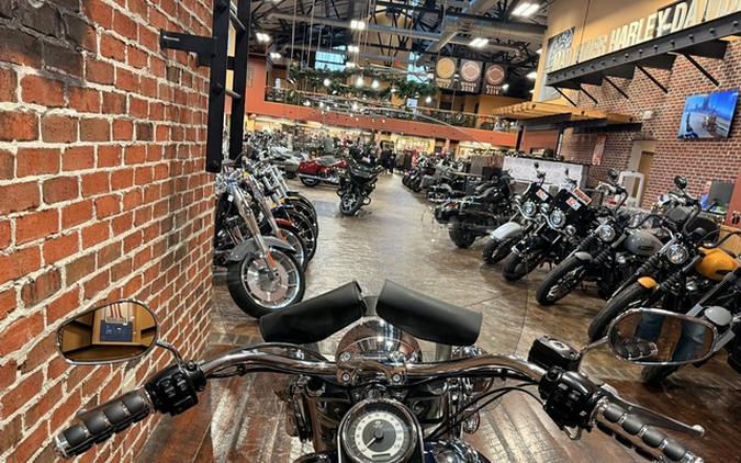 2014 Harley-Davidson FLSTN - Softail Deluxe