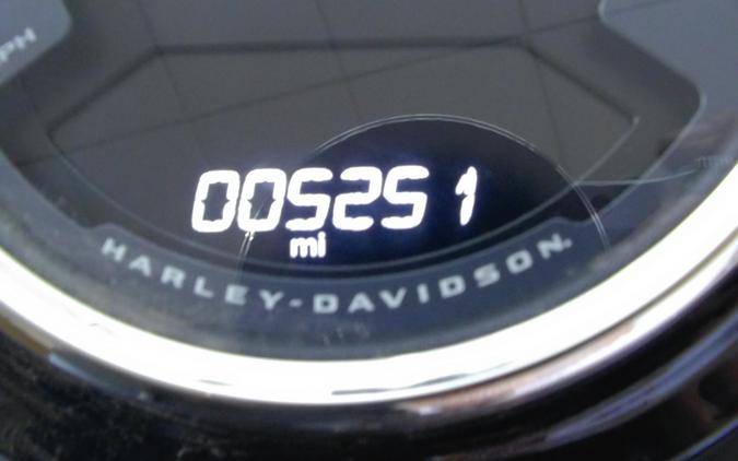 2025 Harley-Davidson HERITAGE CLASSIC