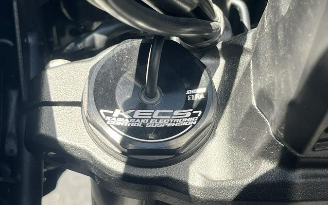 2019 Kawasaki Versys® 1000 SE LT+