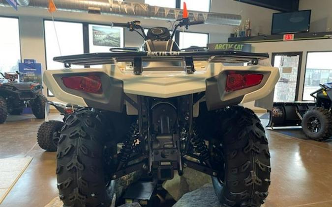 2024 Arctic Cat® Alterra 450