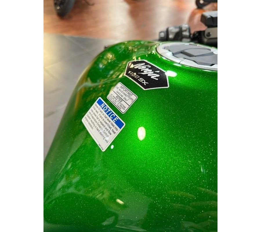 2025 Kawasaki Ninja® 1100SX SE ABS