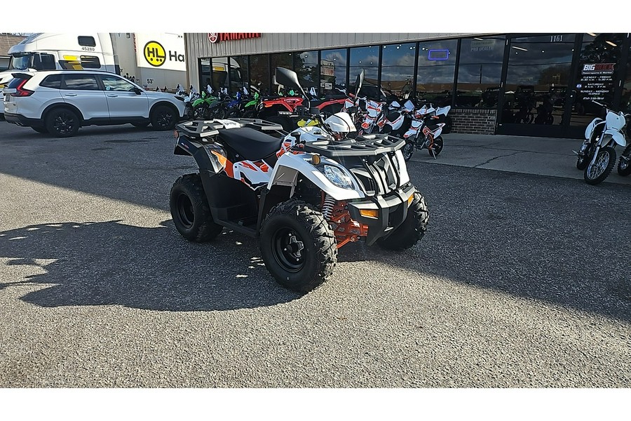 2025 BULL 300 EFI - Kayo