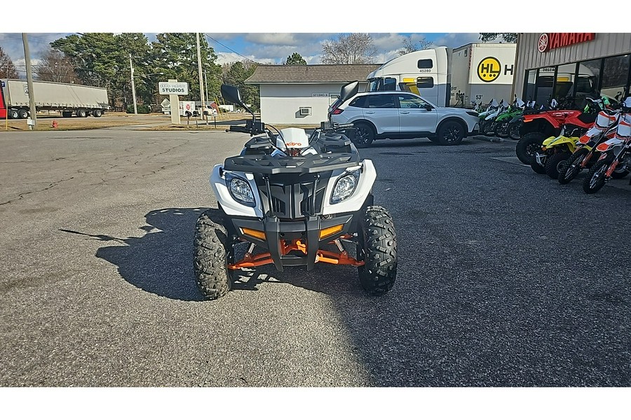 2025 BULL 300 EFI - Kayo