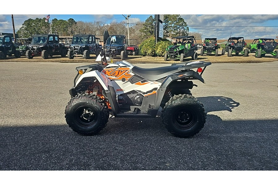 2025 BULL 300 EFI - Kayo