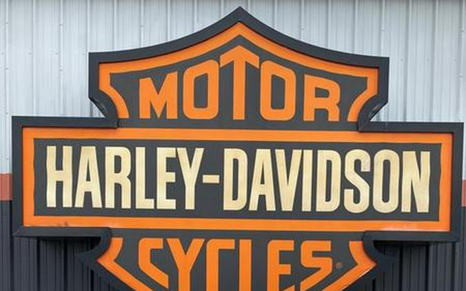 2010 Harley-Davidson® FLHR - Road King®