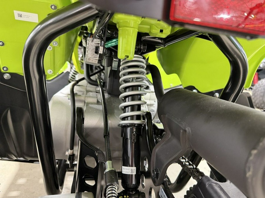 2026 Yamaha YFZ 50