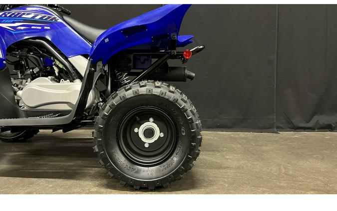 2026 Yamaha Raptor 110