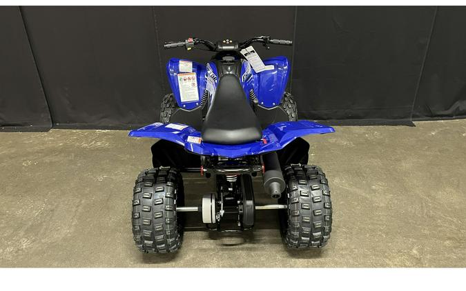 2026 Yamaha Raptor 110