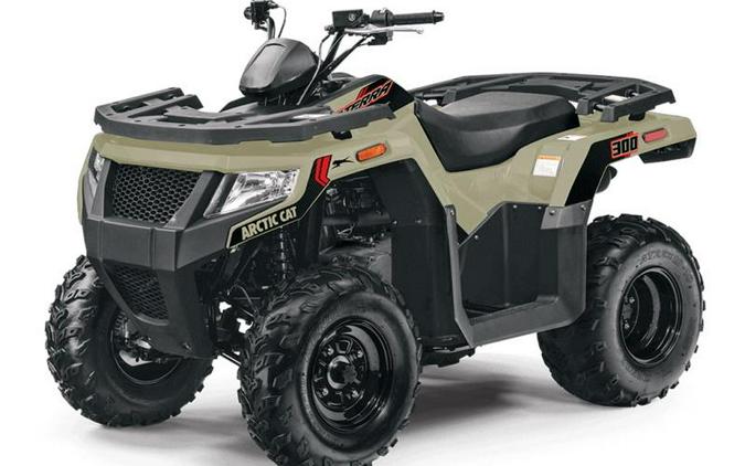 2024 Arctic Cat® Alterra 300