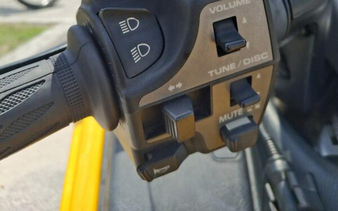 2010 GOLDWING AUDIO/COMFORT TRIKE