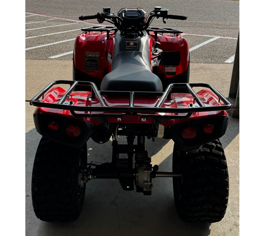 2026 Kawasaki Brute Force® 300