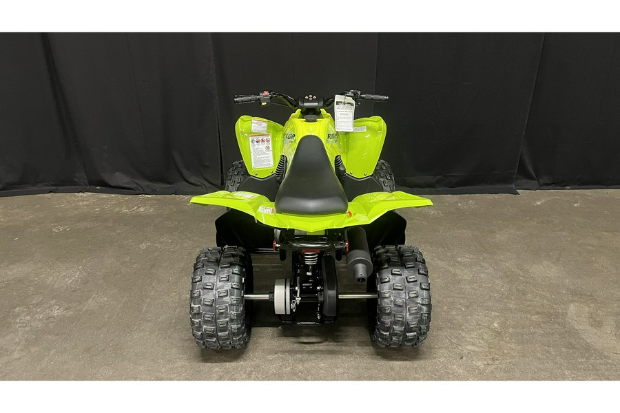 2026 Yamaha Raptor 110