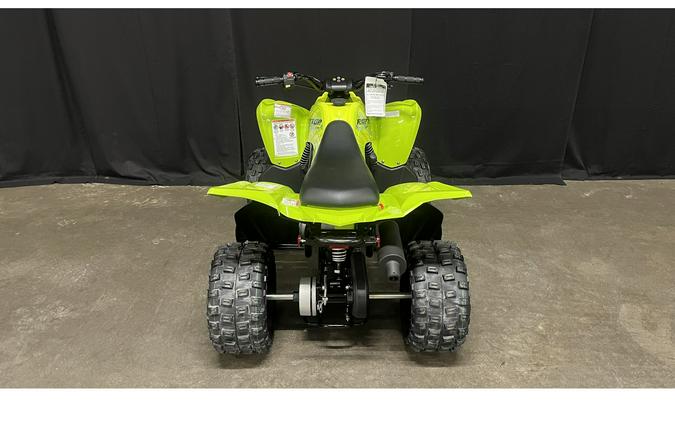 2026 Yamaha Raptor 110