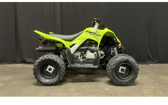 2026 Yamaha Raptor 110
