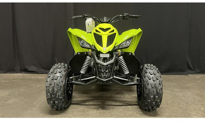 2026 Yamaha Raptor 110