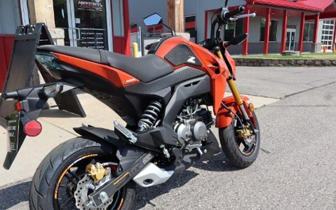 2025 Kawasaki Z125 Pro