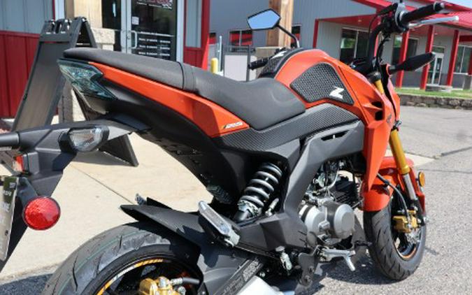 2025 Kawasaki Z125 Pro