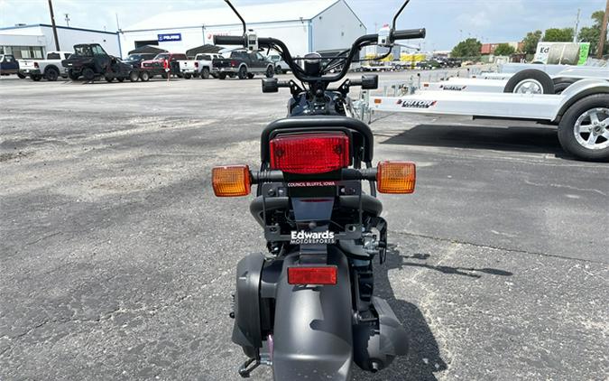 2024 Honda Ruckus