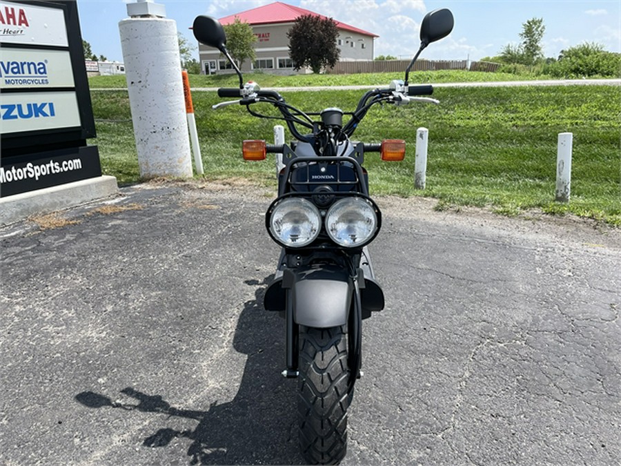 2024 Honda Ruckus