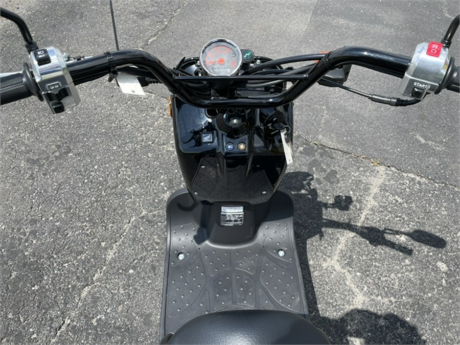 2024 Honda Ruckus