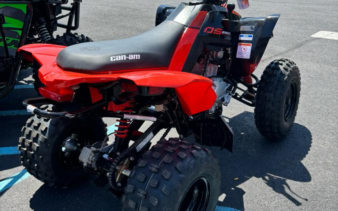2026 Can-Am DS 250