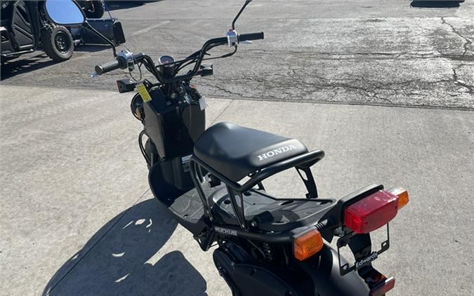 2024 Honda Ruckus