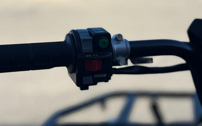 2026 Yamaha Kodiak 700 EPS