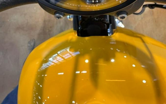 2025 Harley-Davidson Softail FXBB - Street Bob