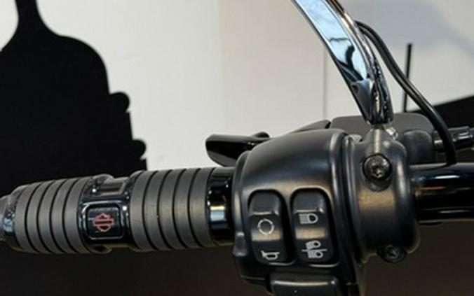 2021 Harley-Davidson Softail FLSL - Slim