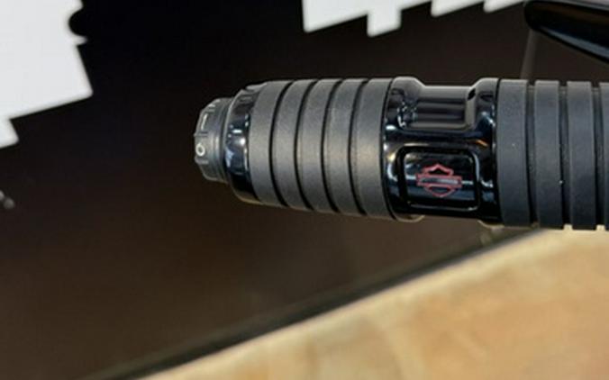 2021 Harley-Davidson Softail FLSL - Slim