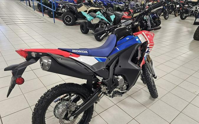 2025 Honda CRF300L Rally ABS