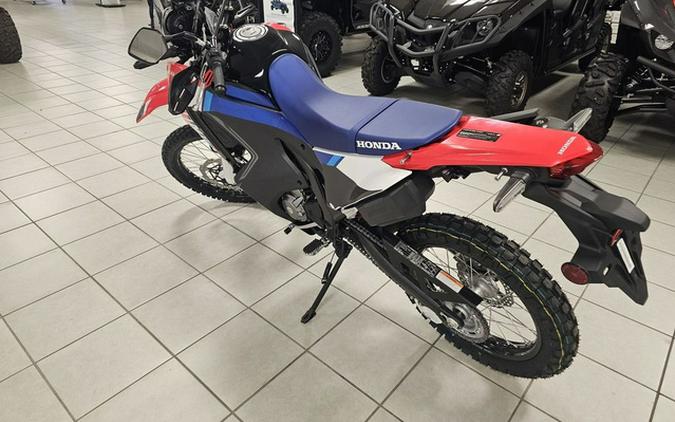 2025 Honda CRF300L Rally ABS