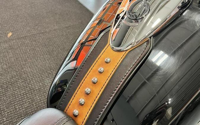 2010 Harley-Davidson® FLSTC - Heritage Softail® Classic