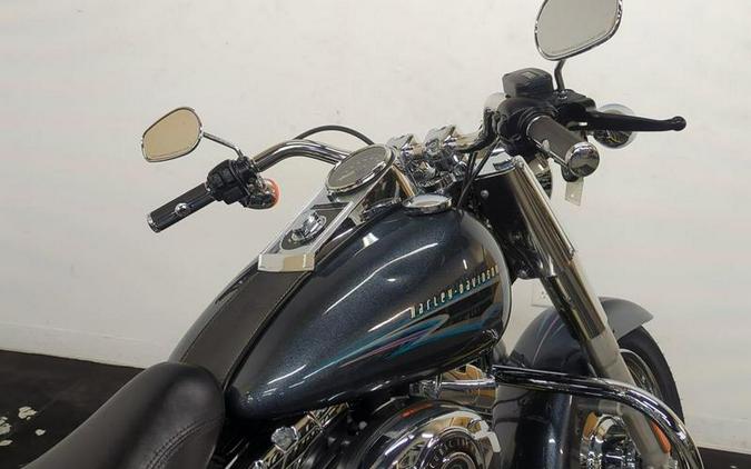 2015 Harley-Davidson® FLSTF103