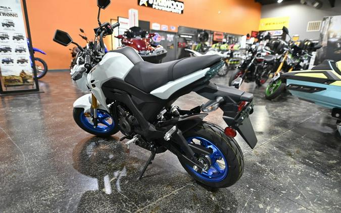 2026 Kawasaki Z125 PRO