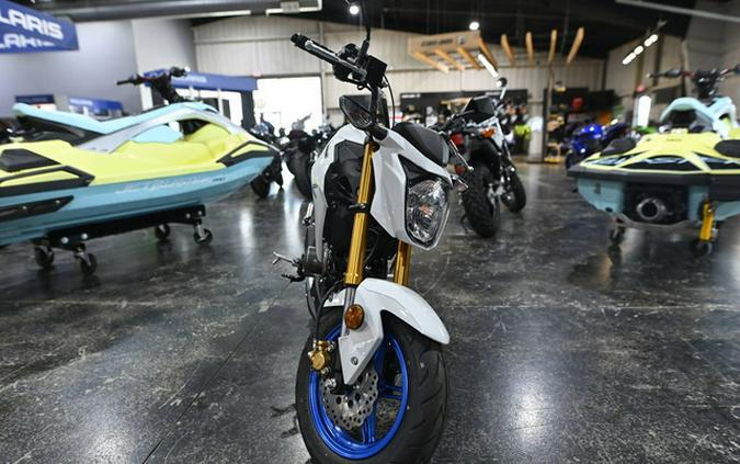 2026 Kawasaki Z125 PRO