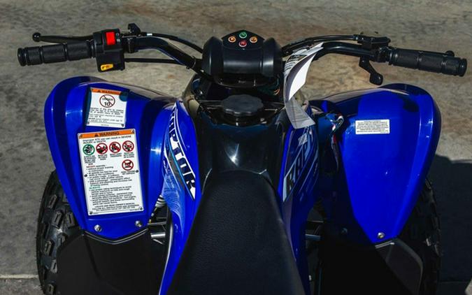 2026 Yamaha Raptor 110