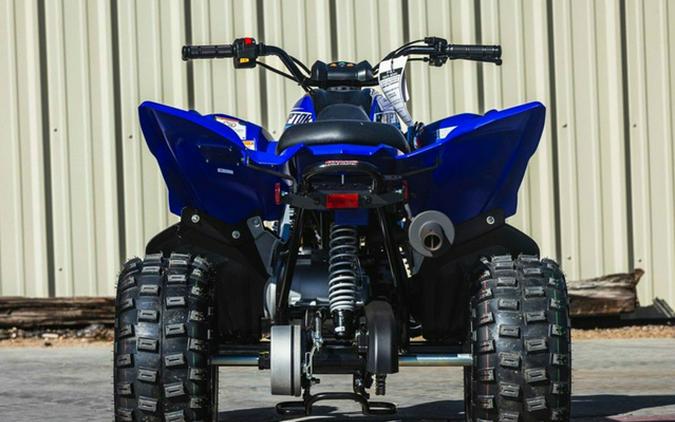 2026 Yamaha Raptor 110