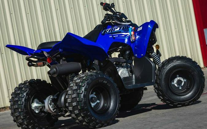 2026 Yamaha Raptor 110