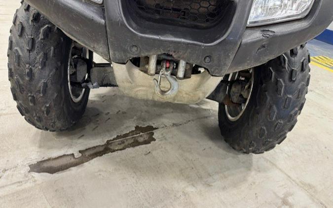 2008 FourTrax Rincon - Honda