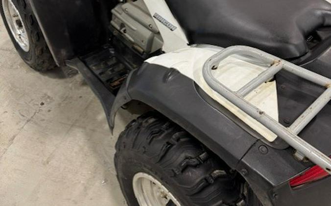 2008 FourTrax Rincon - Honda