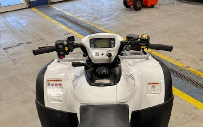 2008 FourTrax Rincon - Honda