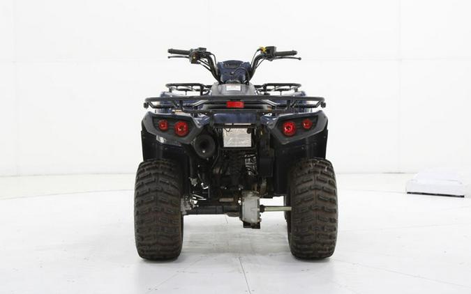 2024 Kawasaki Brute Force 300